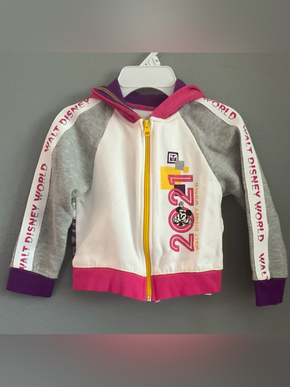 Disney Kids 2021 Zip-Up Hoodie - White, Gray, Pink & Yellow